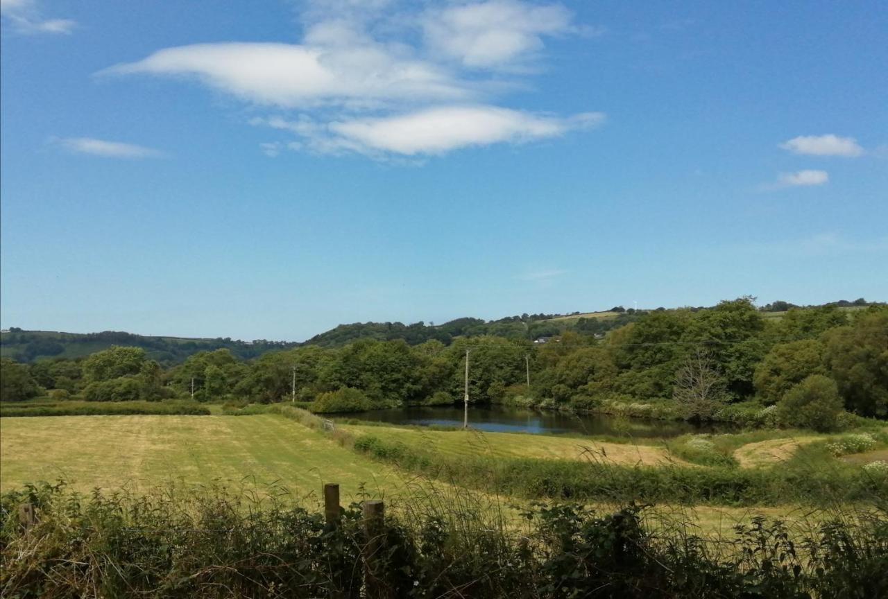 Coed Y Brenin Retreat - Bell Tent Glamping Near Aberaeron Ciliau-Aeron Esterno foto