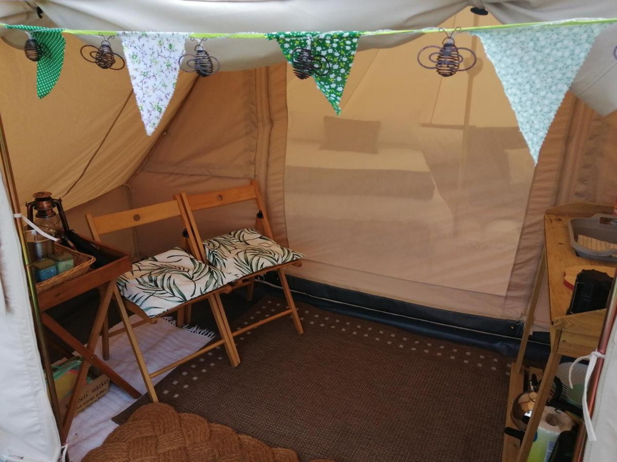 Coed Y Brenin Retreat - Bell Tent Glamping Near Aberaeron Ciliau-Aeron Esterno foto