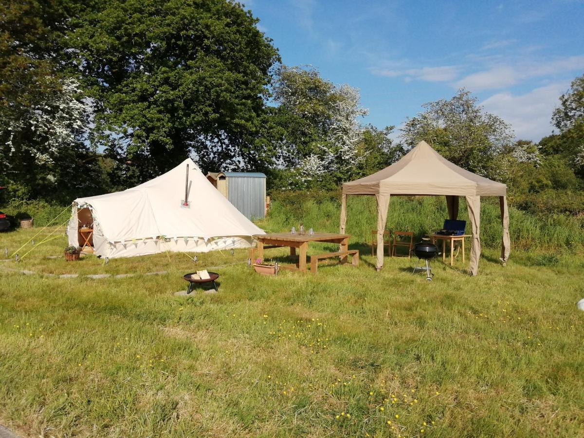 Coed Y Brenin Retreat - Bell Tent Glamping Near Aberaeron Ciliau-Aeron Esterno foto
